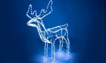 LED Ziemassvētku figūra - kustīgs briedis / Ārejai un iekšējai izmantošanai / Ziemassvētku dekors / balts + zils ZIBSPULDZES EFEKTS / augstums 110 cm / 230V-50Hz / 264 LED diodes / IP44 / 2000509534974 / 19-624 :: Ziemassvētku dzivnieku LED dekorācijas
