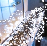 LED Ziemassvētku iekštelpu virtene 5m / 50 diodes /1.7W / IP44 / CW - auksti balta / 19-376 / 4752233006972 :: LED Ziemassvētku virtenes
