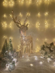 LED Ziemassvētku figūra - Briedis / Iekštelpu izmantošanai / Ziemassvētku dekors / 55 cm / zelta ar silti baltu gaismu / 5900201980253 / 19-594 :: Ziemassvētku dzivnieku LED dekorācijas