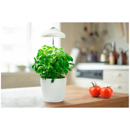 LED Fito lamp - umbrella for plants and seedlings