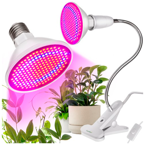 LED Fito lamp for plants and seedlings with fastening