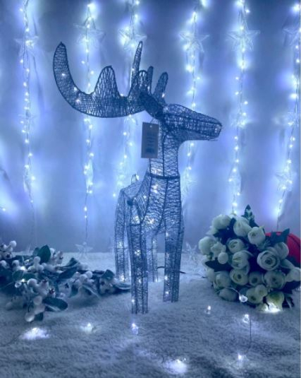 LED Christmas indoor light decor deer
