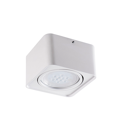 Surface-mounted luminaire - fitting TUBEO ES 50-W
