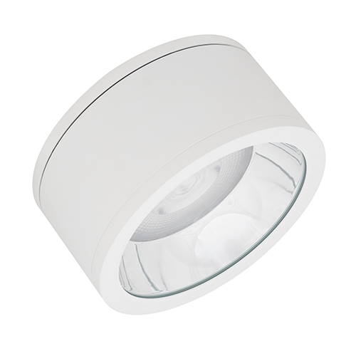 Moisture-resistant surface-mounted lamp 45W, 4000K, IP65 DOWNLIGHT SURFACE