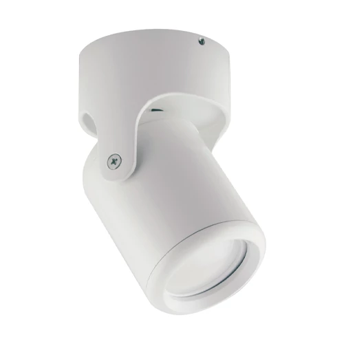 Surface-mounted light DOMEN, excl. GU10, max 35W, IP20