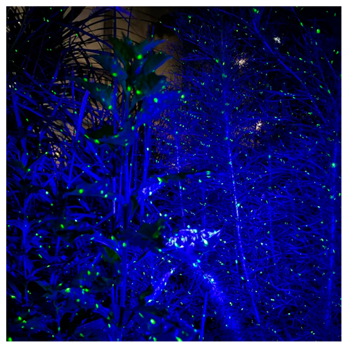 Waterproof laser projector with remote control for the garden - projection of fireflies and northern lights