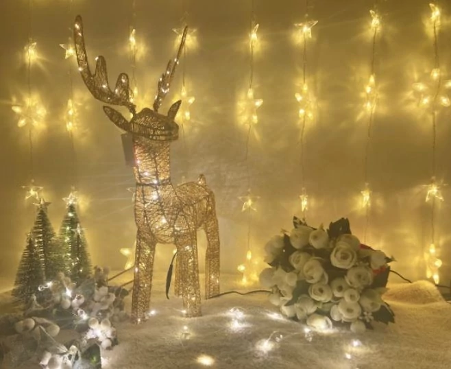 LED Christmas indoor light decor deer