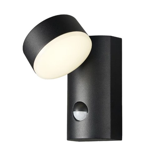 Facade lamp with motion (PIR) sensor SIRAZ 12W, 3000K, IP54