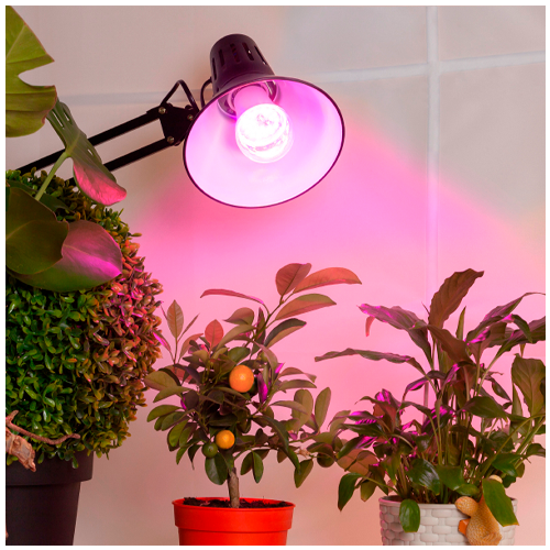 LED Фито лампа для растений и рассады 12W