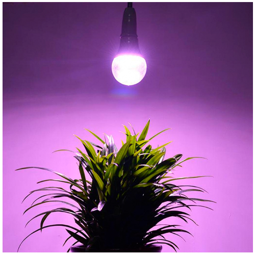 LED Fito spuldze priekš augiem 24W