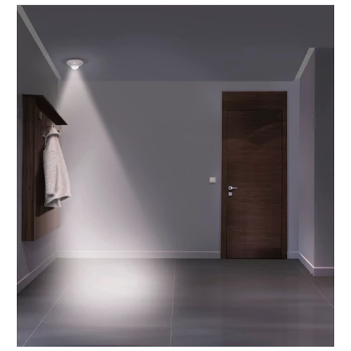 LED night light with sensor NIGHTLUX CEILING