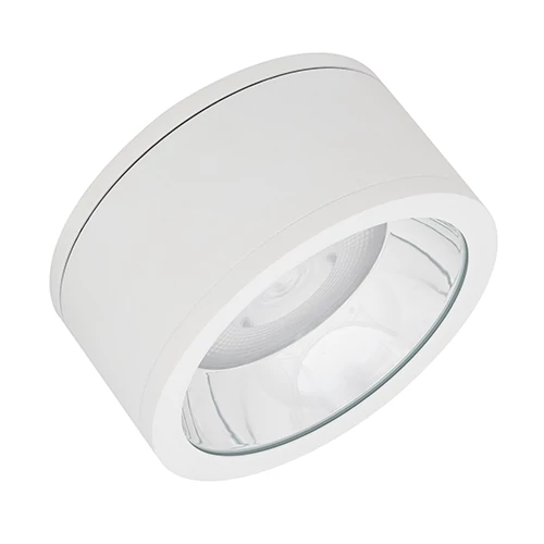 Mitrumizturīgs virsapmetuma gaismeklis 45W, 4000K, IP65 DOWNLIGHT SURFACE