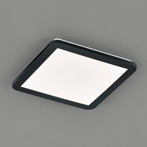 Ceiling lamp, plafon CAMILLUS, 16W, 1900lm, 3000K, IP44