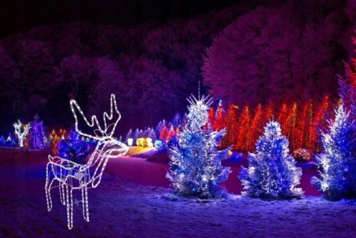 LED Christmas outdoor and indoor light decor movable deer