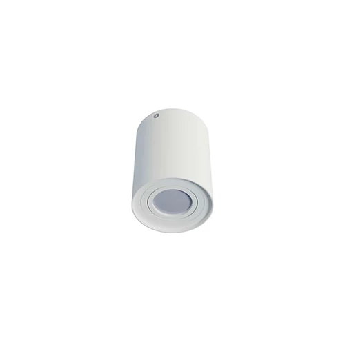 Surface-mounted light SPOT TUBE, excl. GU10, IP20